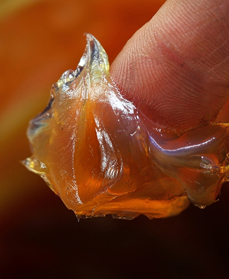 Política de calidad de Palco