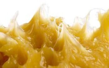 Key Insights into Lithium Based Grease