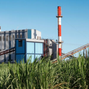 Reduce Downtime in Sugar Mills with PALCO’s Advanced Mill Oils