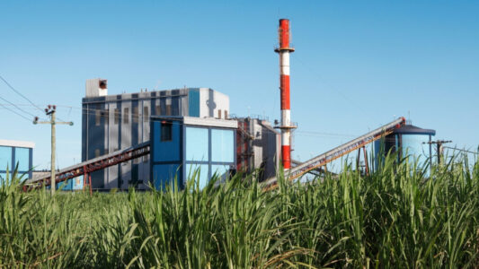 Reduce Downtime in Sugar Mills with PALCO’s Advanced Mill Oils