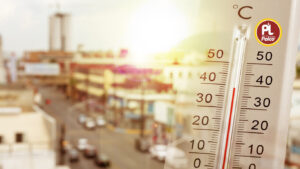 Palco 20W50 engine oil for hot climate