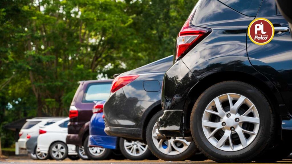 Palco 5W30 Synthetic Engine Oil for Cars