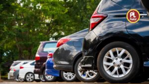 Palco 5W30 Synthetic Engine Oil for Cars