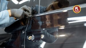 Palco Palco 5W30 car engine oil for petrol & diesel