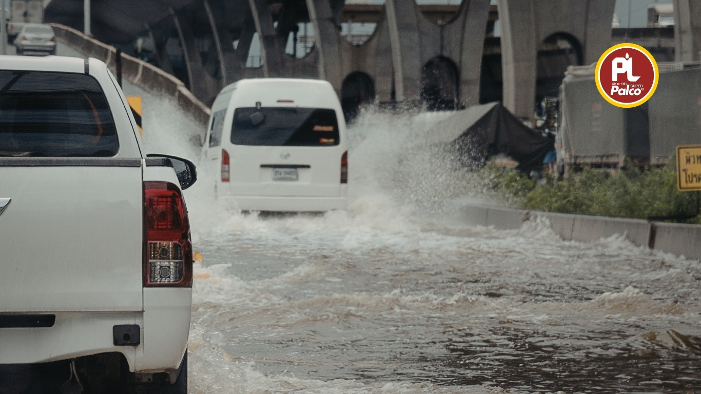 Best engine oil for Indian driving conditions: Palco