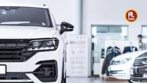 Garnet 5W30 Engine Oil