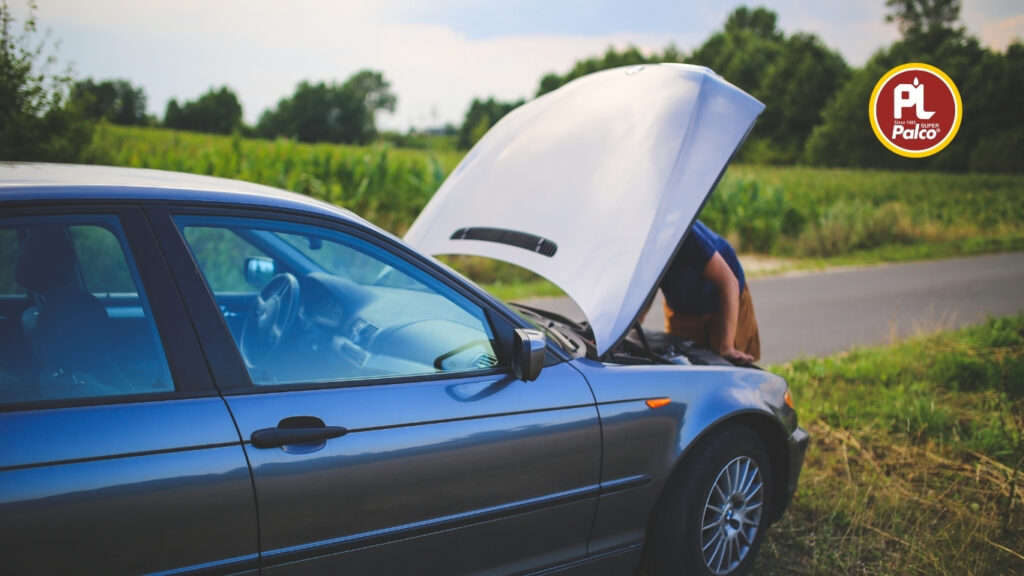 Palco 20W50 engine oil meaning