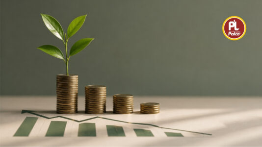 Why Business Growth Needs Strong Cash Flow and Financial Discipline
