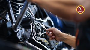 Premium PALCO 10W30 Motorcycle Engine Oil for Powerful Protection