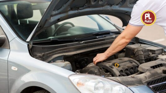 Fully Synthetic vs Mineral Engine Oil: What Should Car Owners Choose?