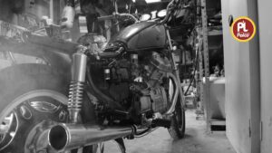 PALCO Premium 2-Stroke Engine Oil for Bikes & Scooters