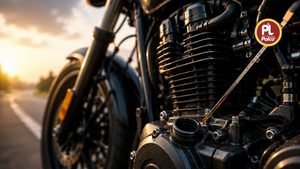 PALCO 2T Power: 2T Engine Oil for Two-Stroke Engines